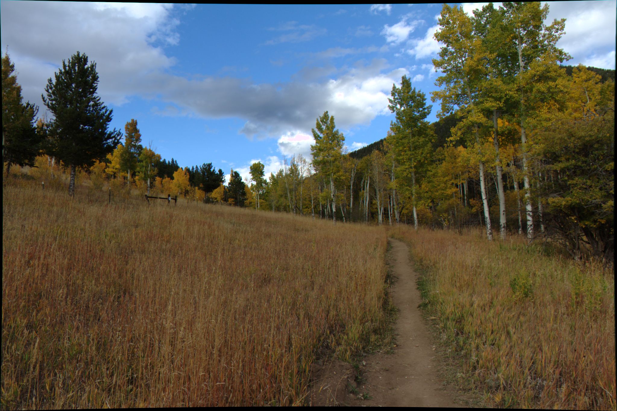 Fall Colors at Golden Gate Canyon State Park