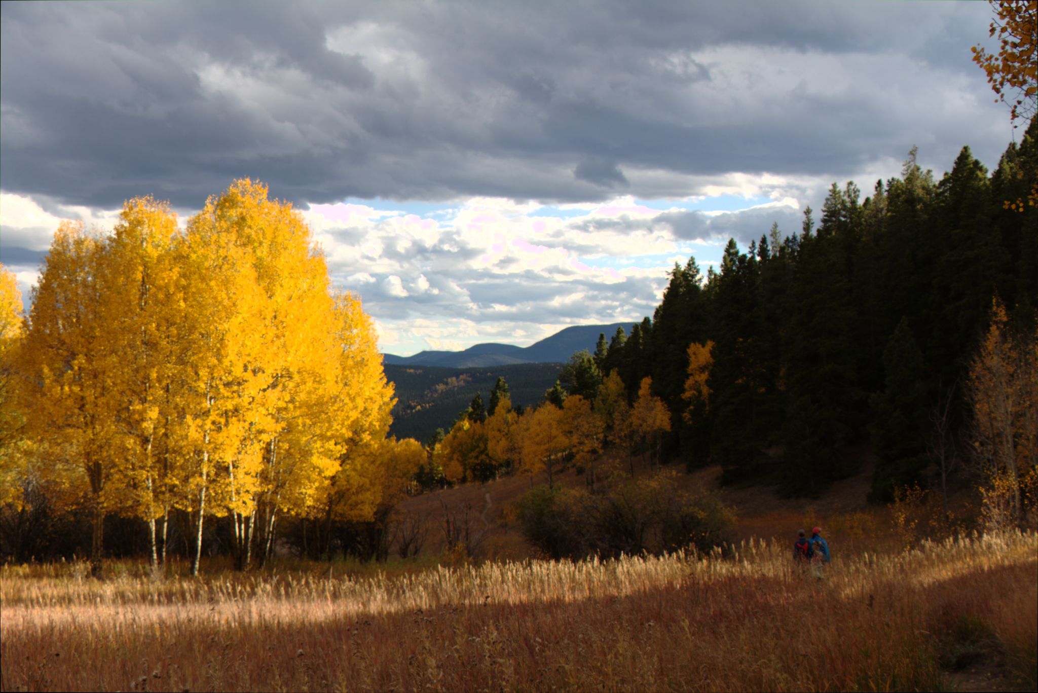 Fall Colors at Golden Gate Canyon State Park