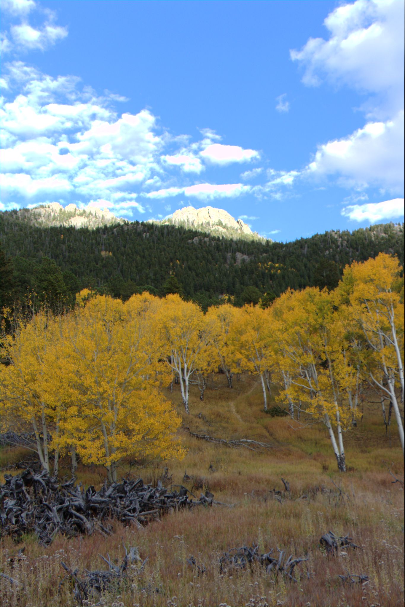 Fall Colors at Golden Gate Canyon State Park