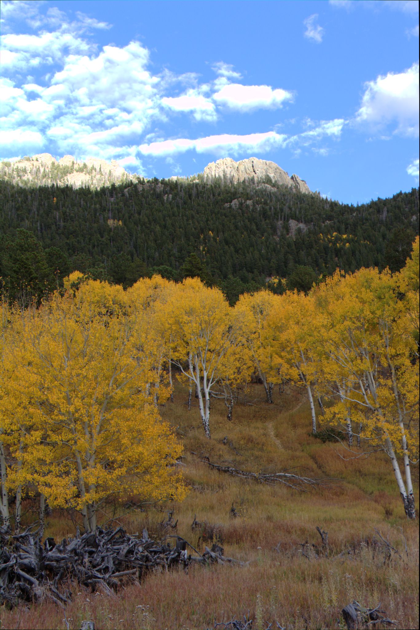 Fall Colors at Golden Gate Canyon State Park