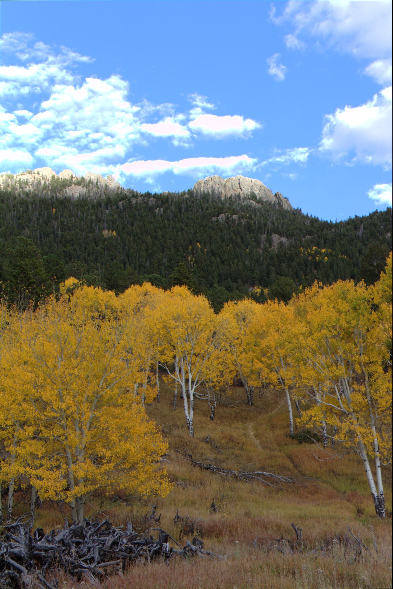 Fall Colors at Golden Gate Canyon State Park