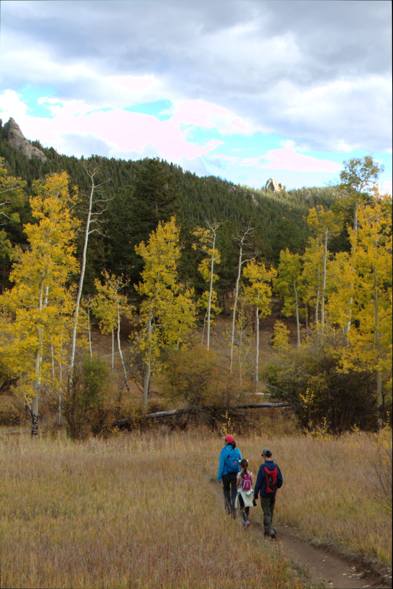 Fall Colors at Golden Gate Canyon State Park