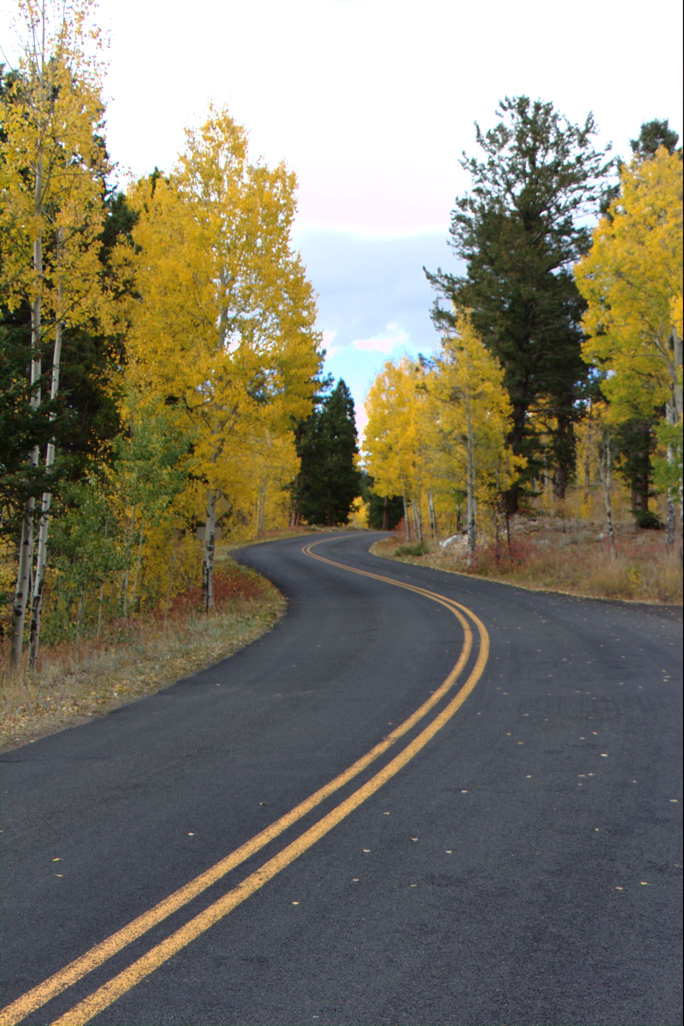 Fall Colors at Golden Gate Canyon State Park