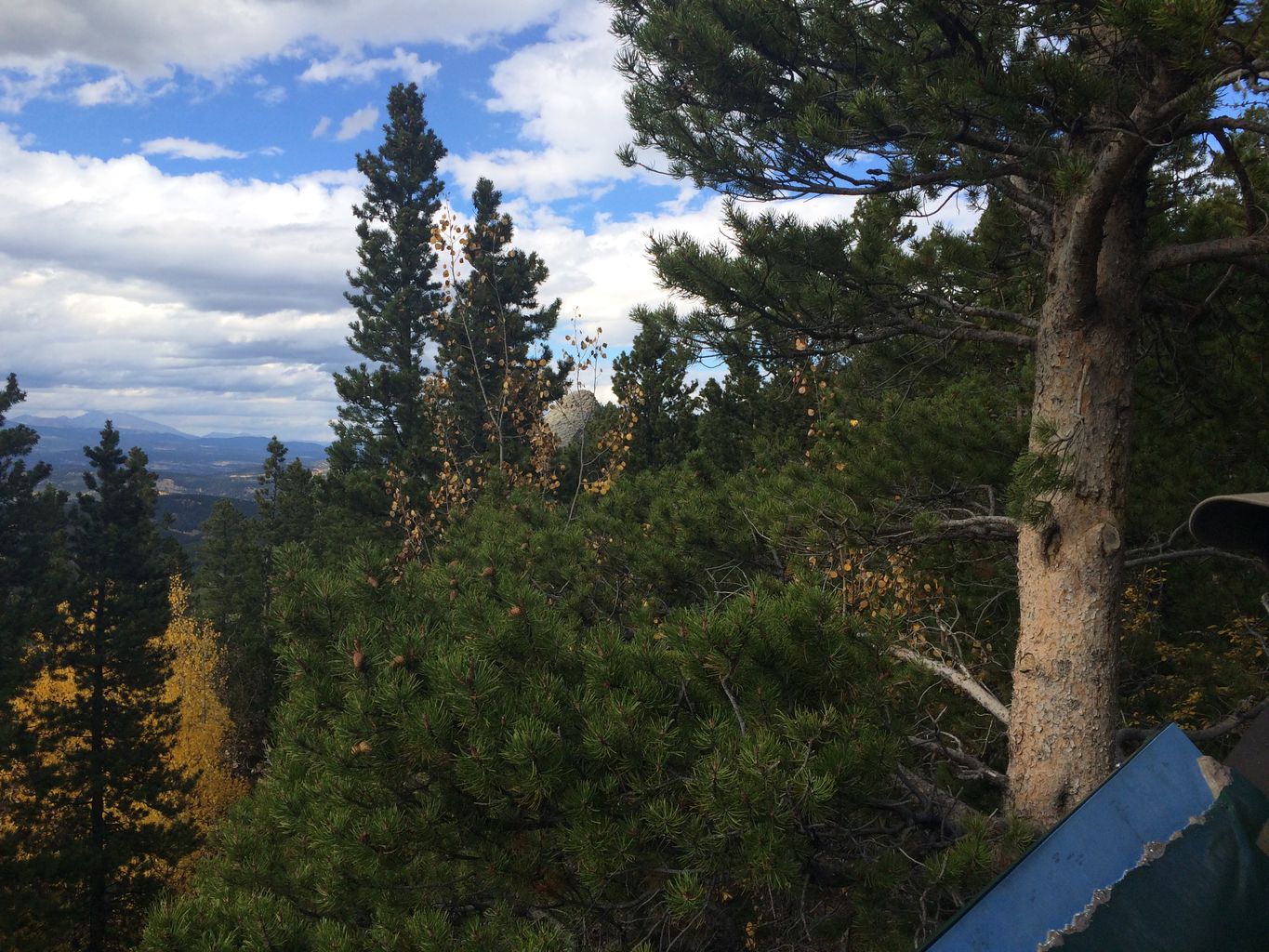 Fall Colors at Golden Gate Canyon State Park