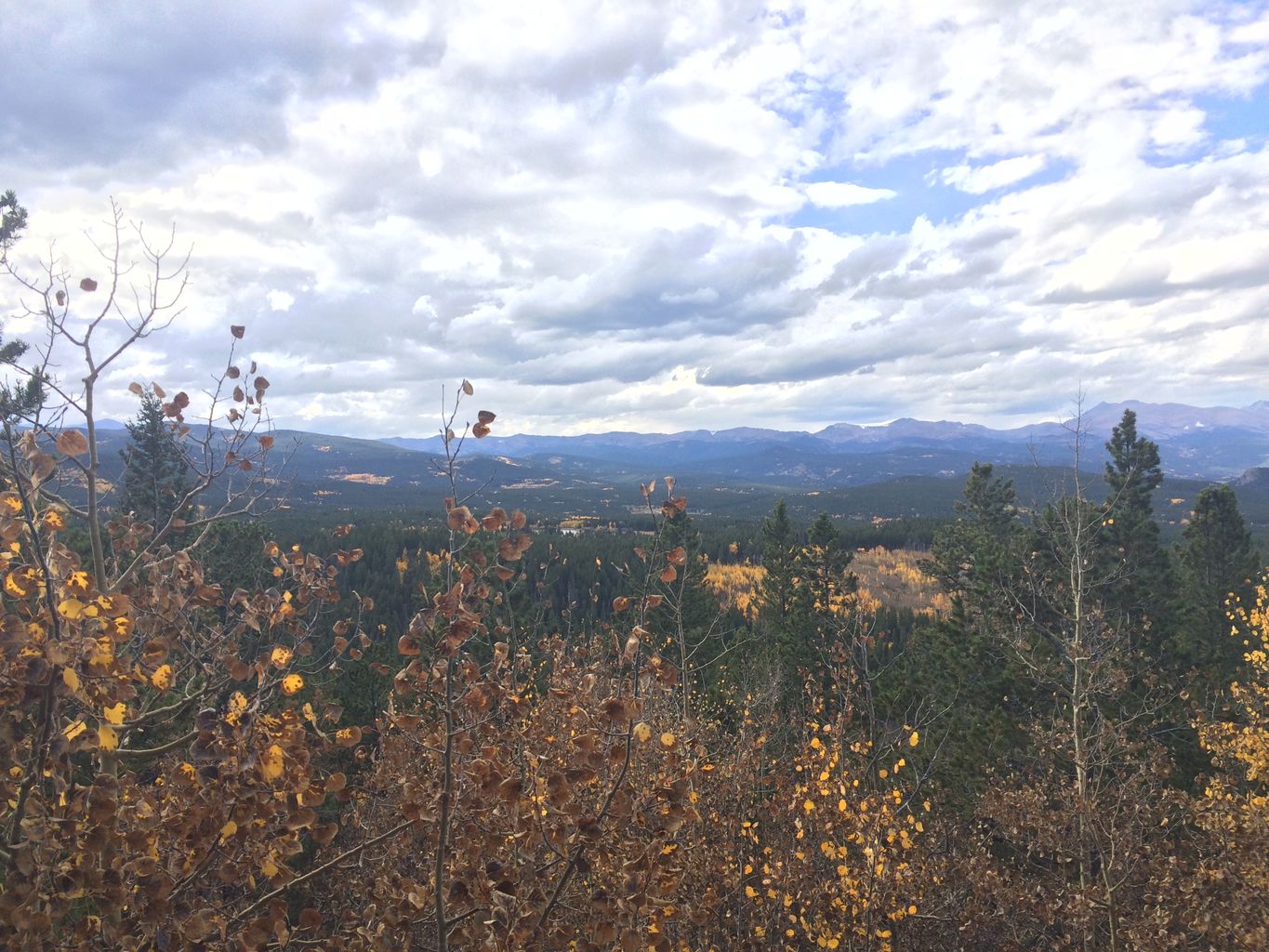 Fall Colors at Golden Gate Canyon State Park