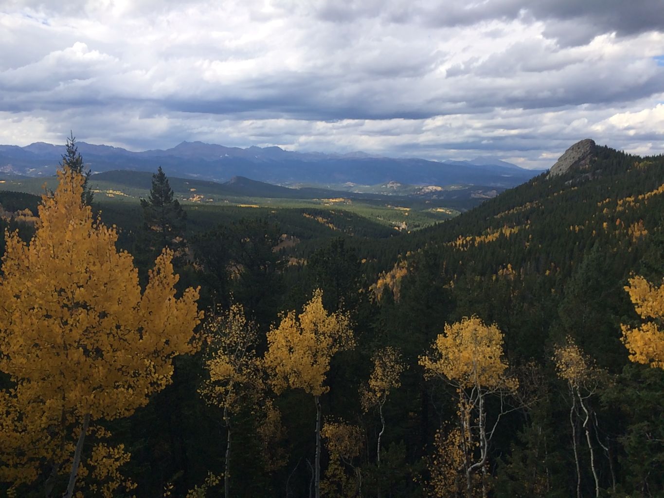 Fall Colors at Golden Gate Canyon State Park