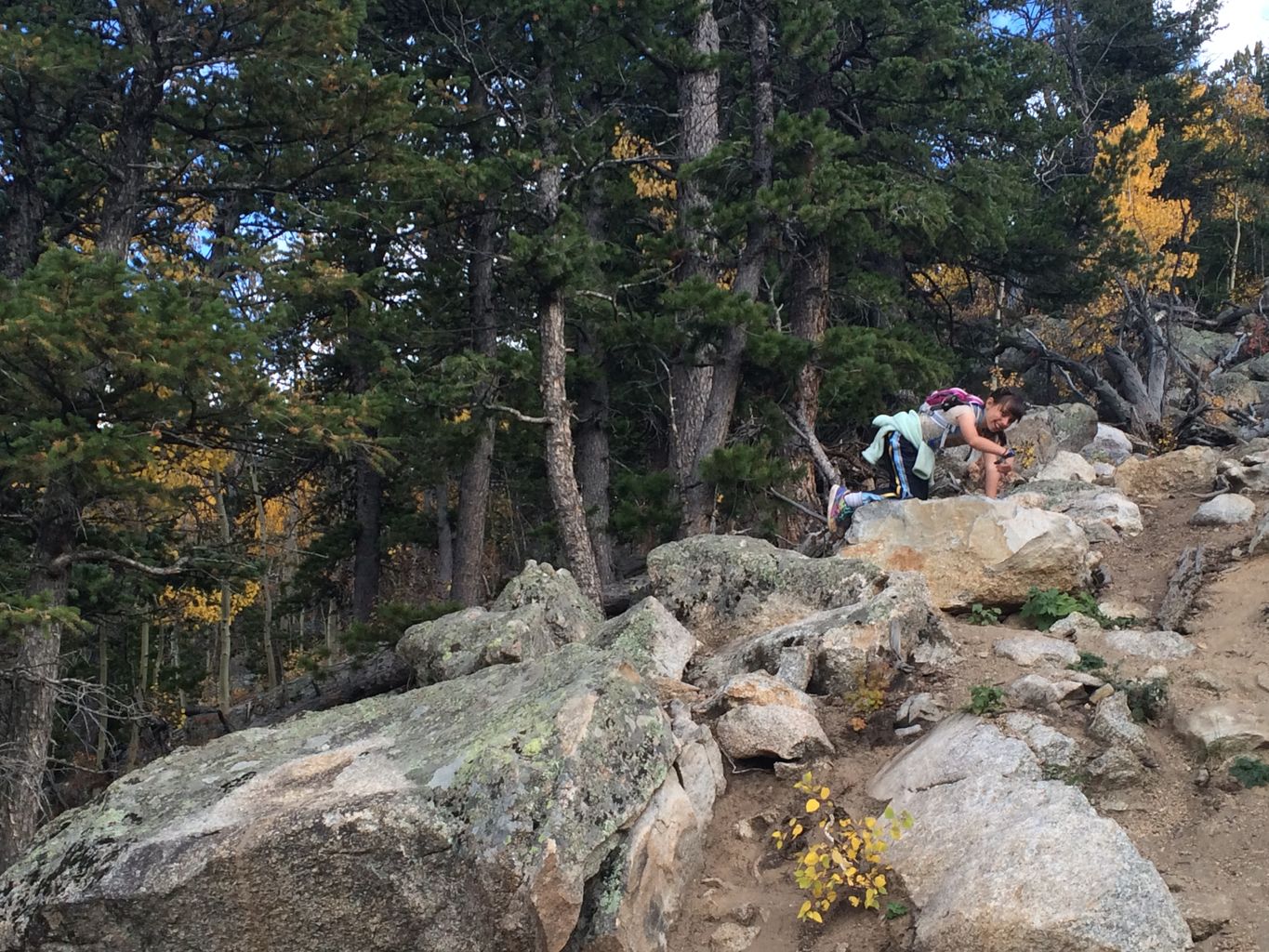 Fall Colors at Golden Gate Canyon State Park