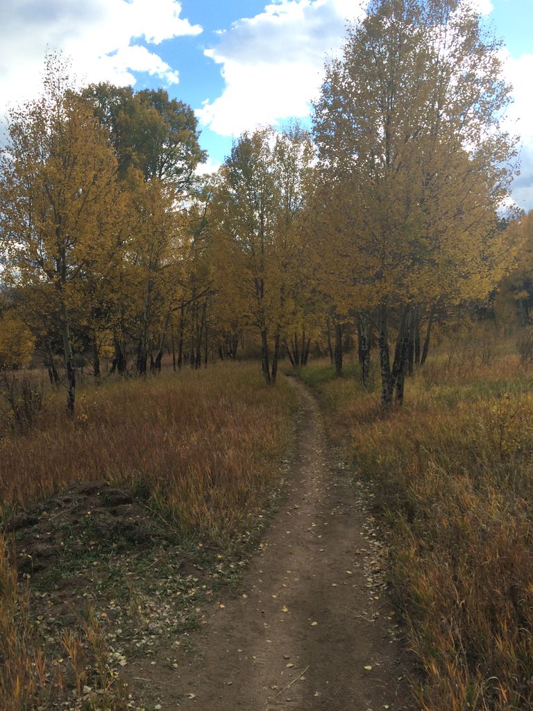 Fall Colors at Golden Gate Canyon State Park