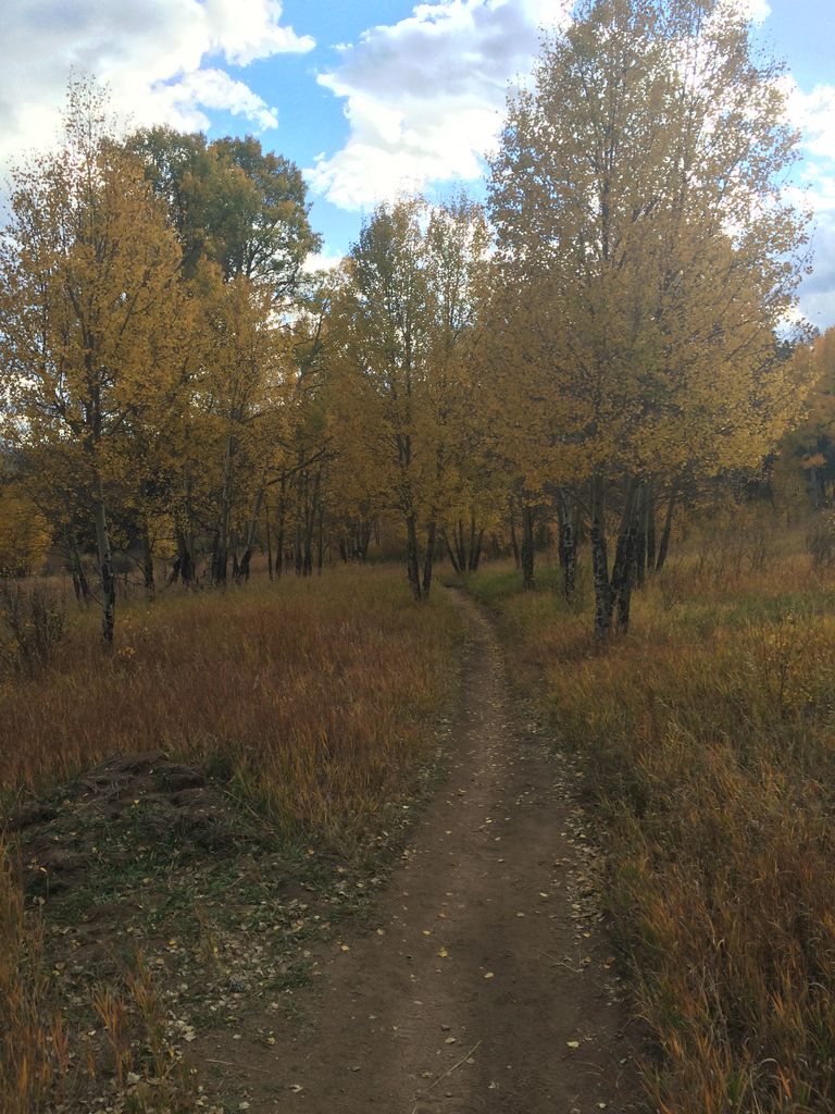 Fall Colors at Golden Gate Canyon State Park