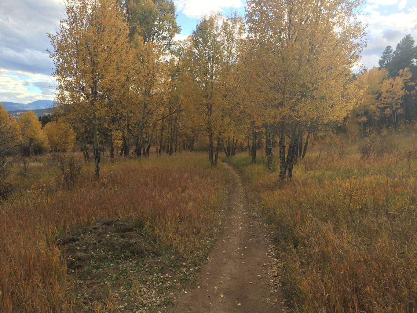 Fall Colors at Golden Gate Canyon State Park