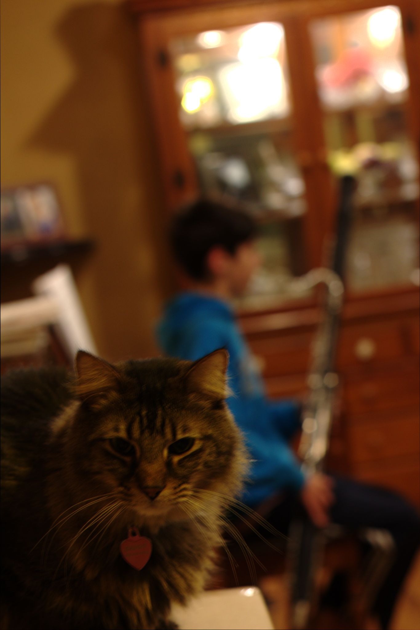 Just another Evening