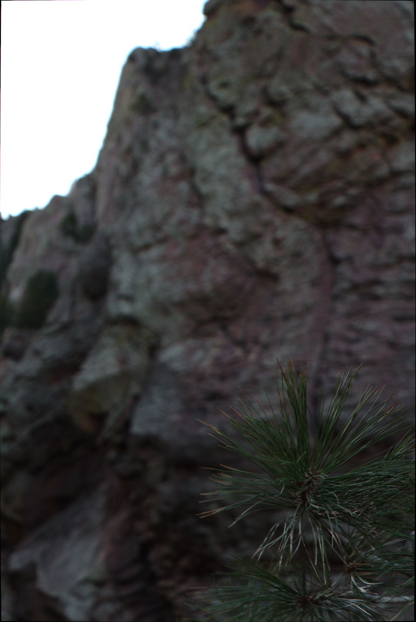 Eldorado Canyon State Park