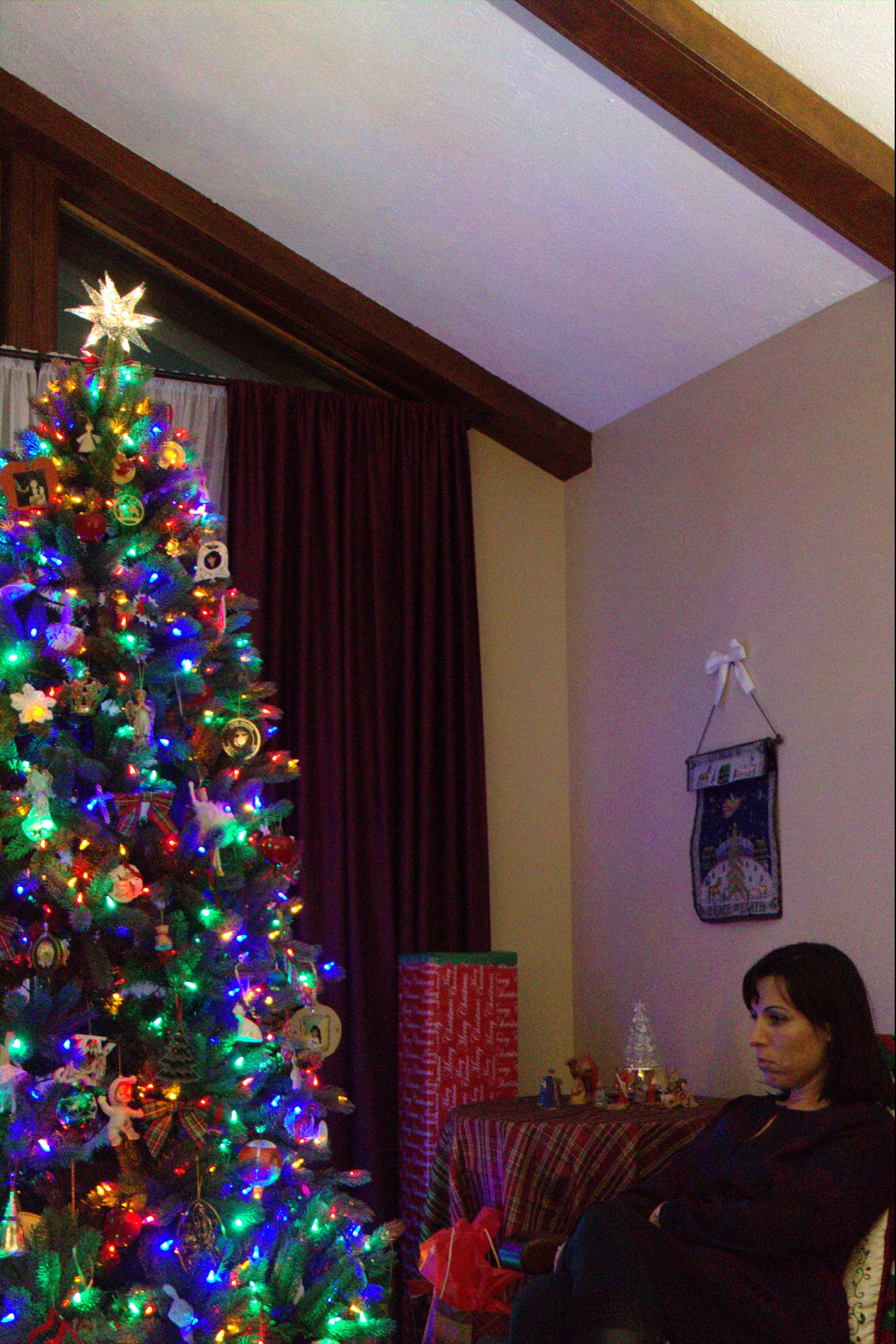 Christmas 2016 at the Gradys