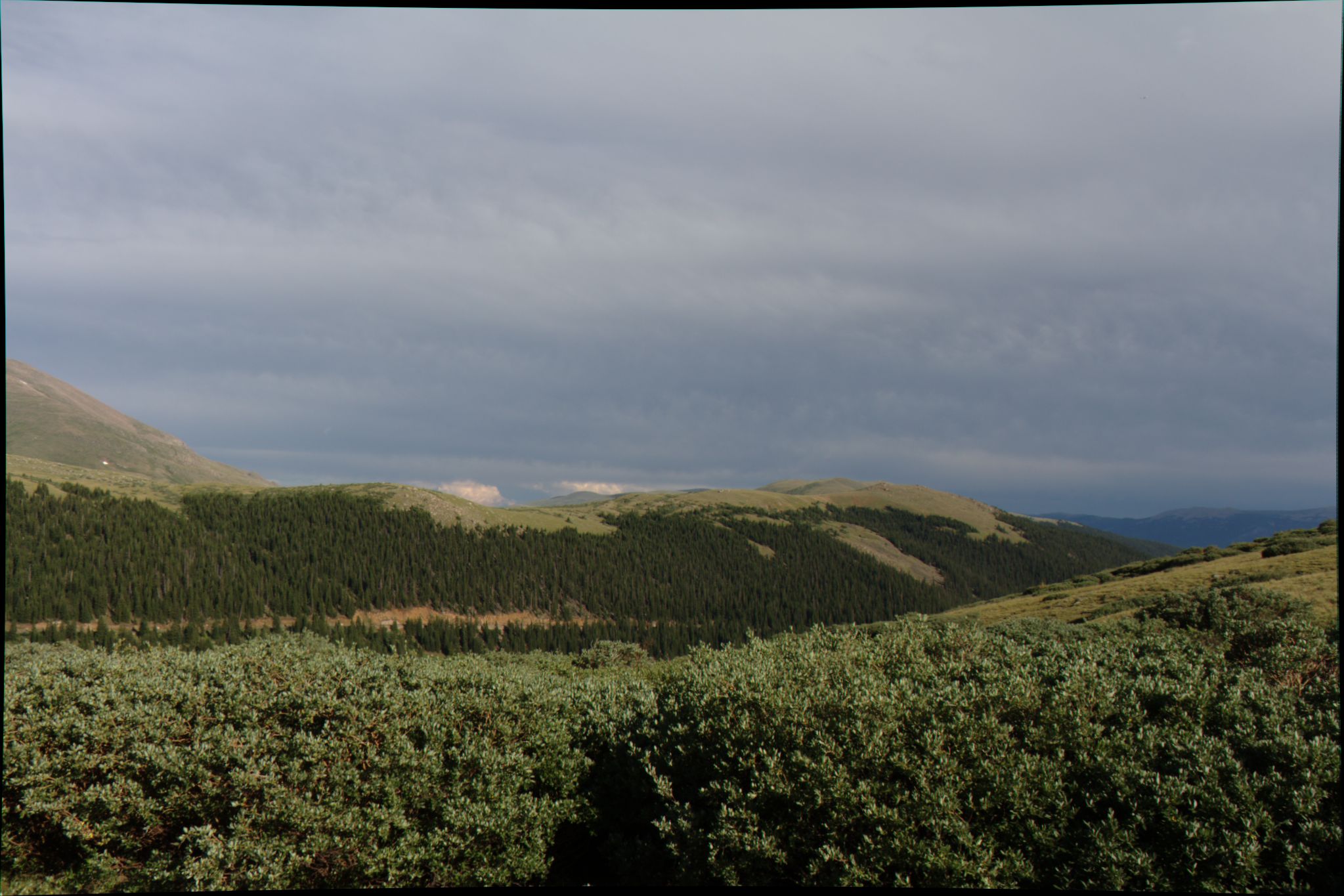 Photo 22 of 48