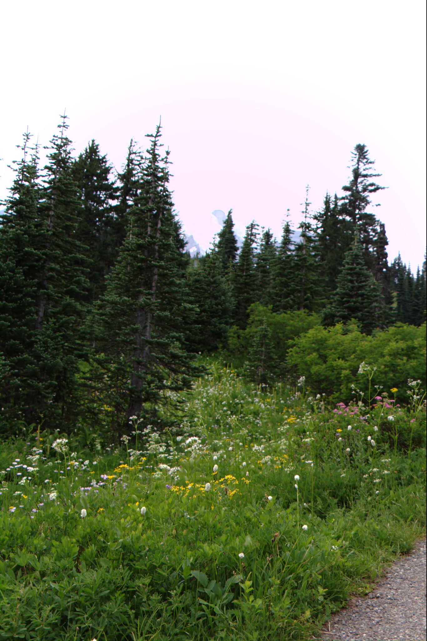 Photo 71 of 89