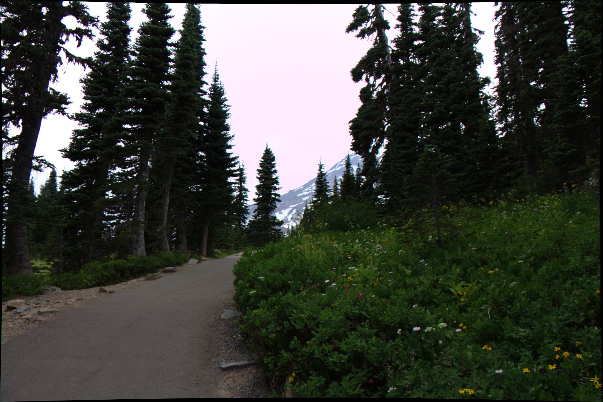 Photo 79 of 89