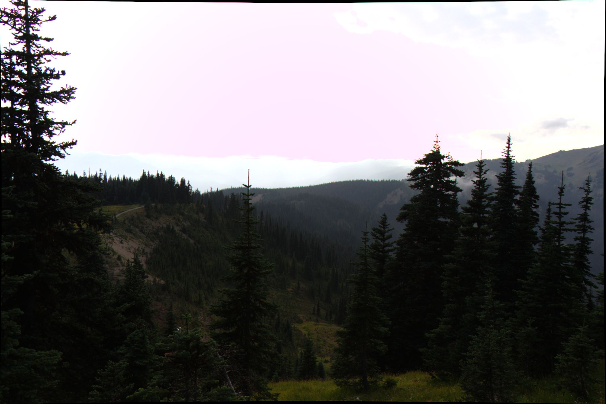Photo 66 of 88