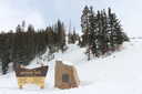 Berthoud Pass in February