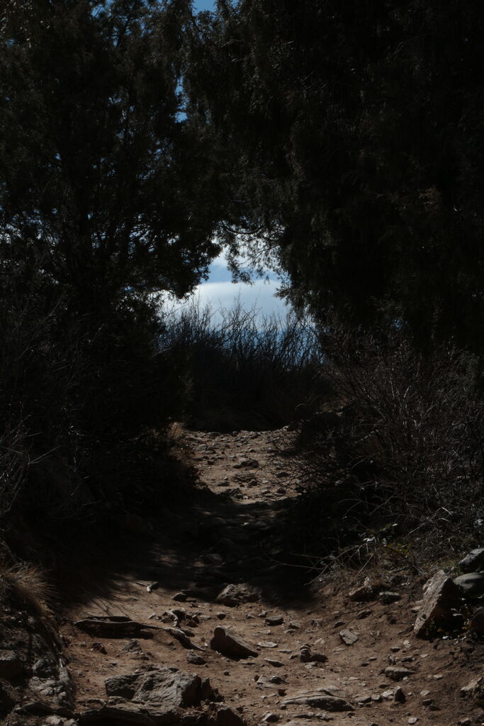 Photo 9 of 27