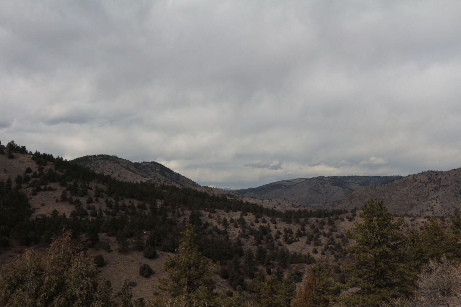 Photo 16 of 27