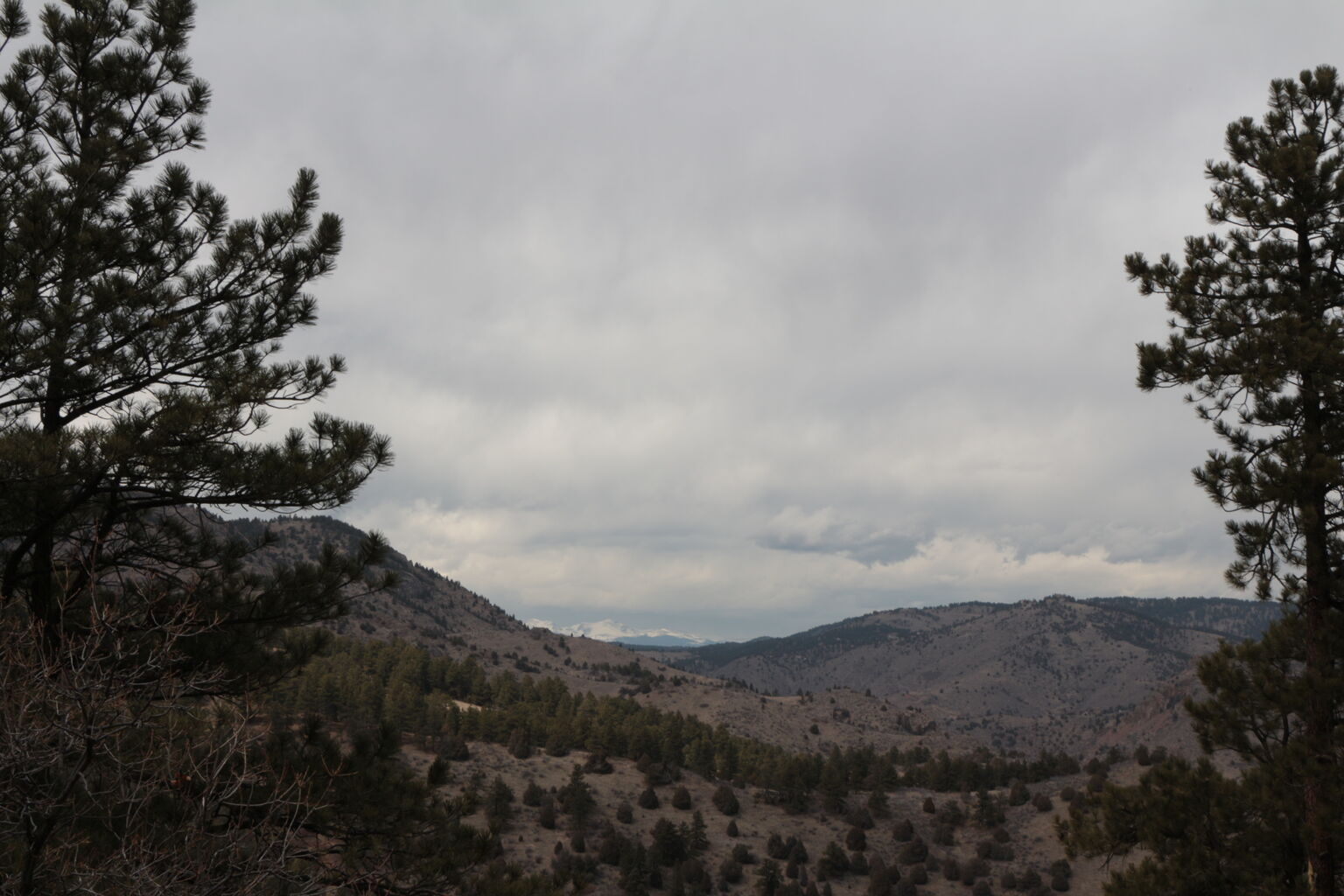 Photo 17 of 27