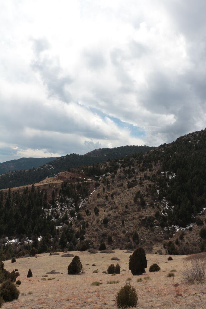 Photo 20 of 27