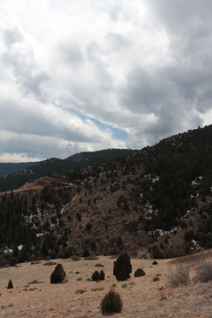 Photo 21 of 27