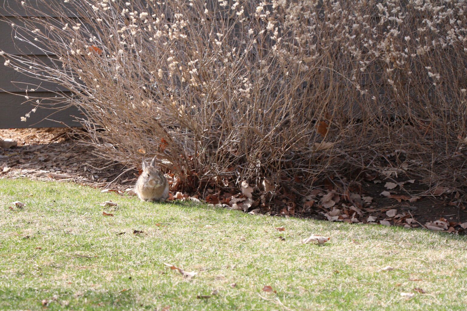 Photo 22 of 71