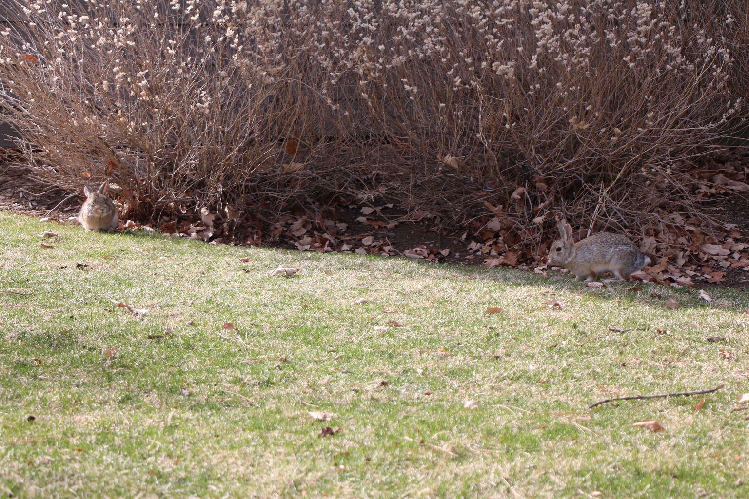 Photo 23 of 71