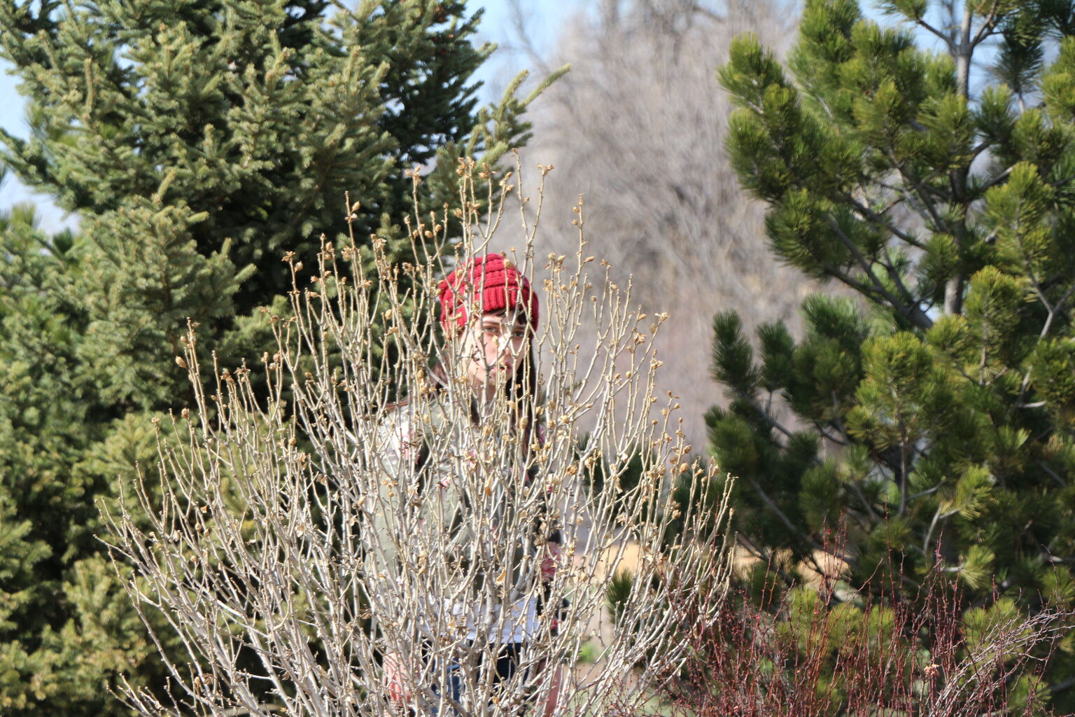 Photo 47 of 71