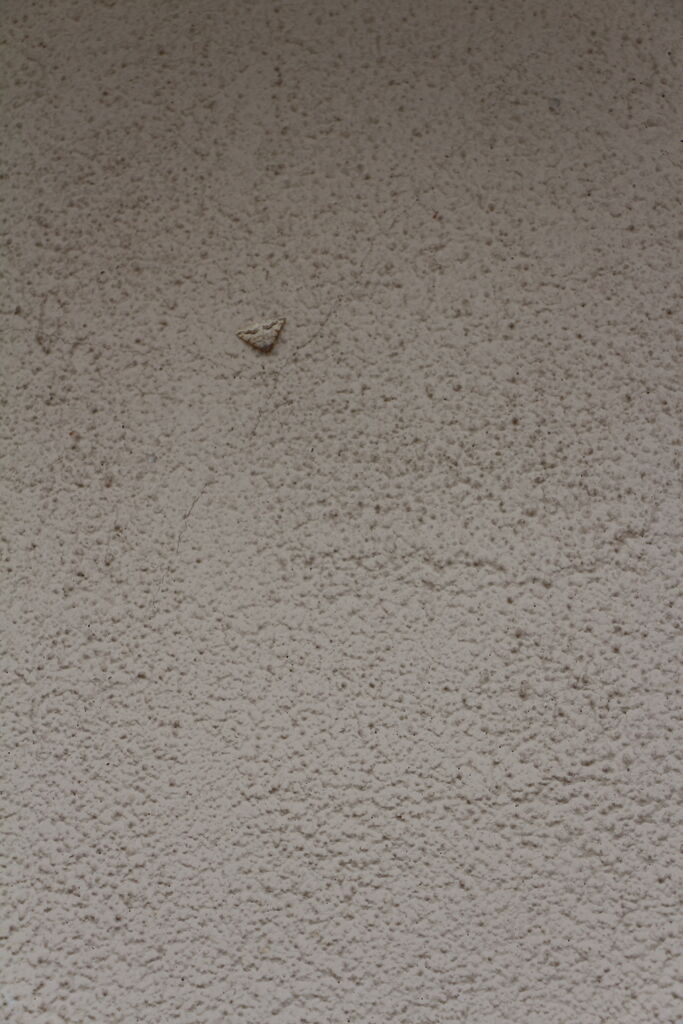 Photo 14 of 69