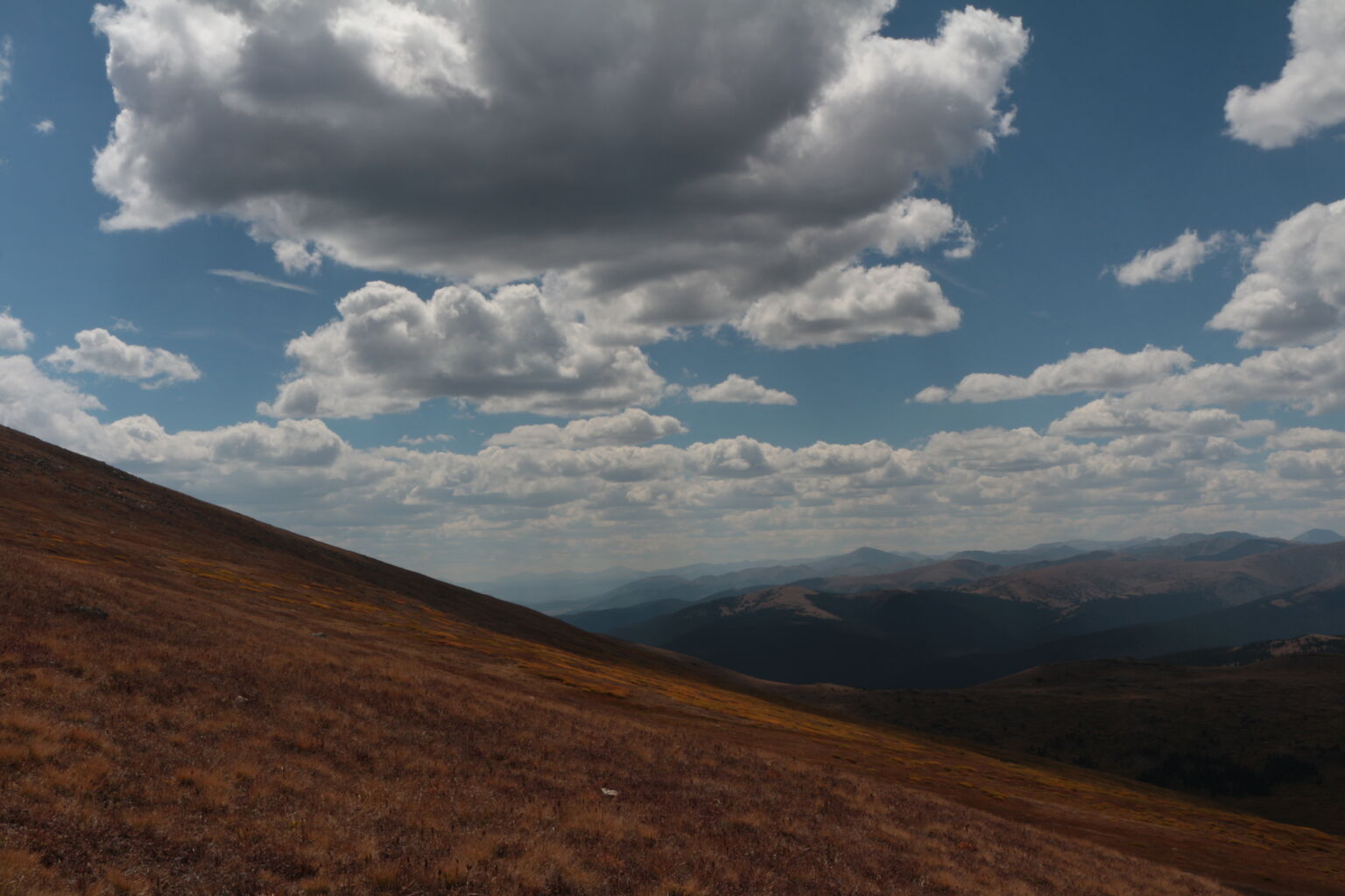 Photo 25 of 79