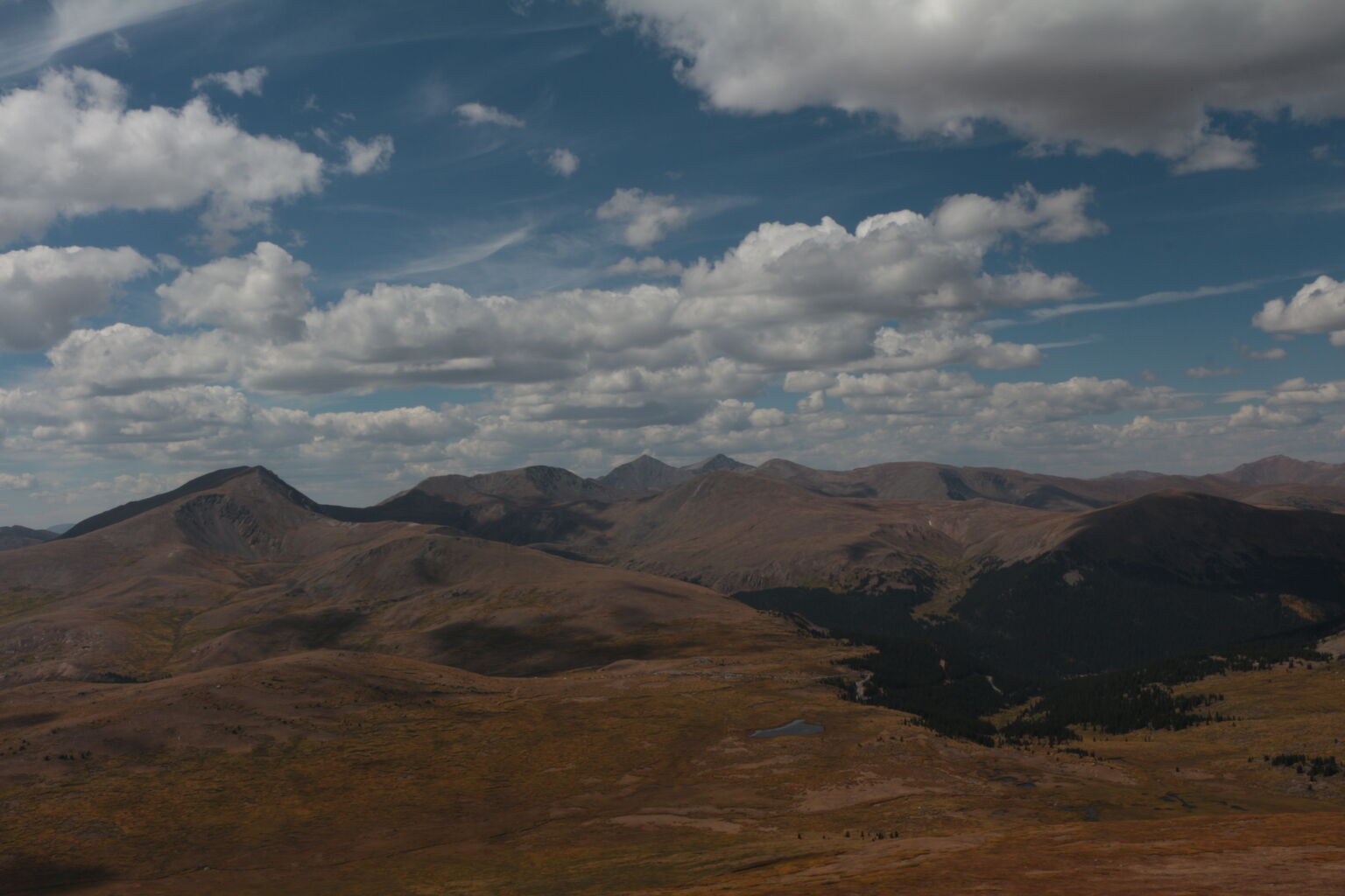 Photo 30 of 79
