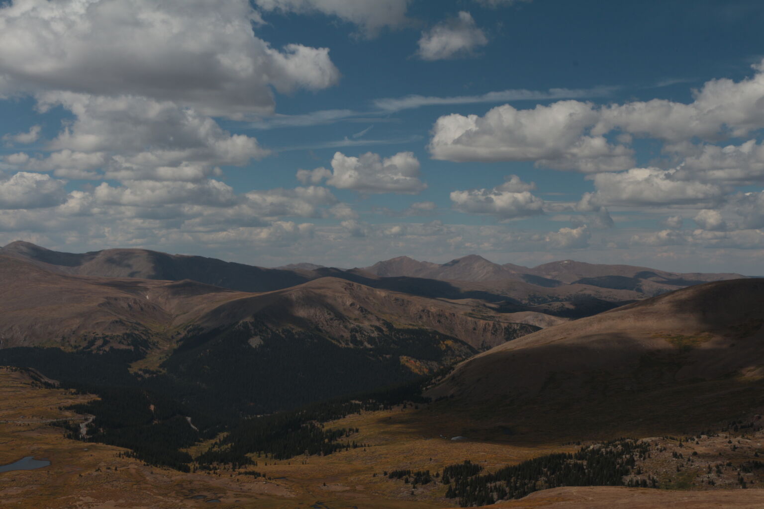 Photo 32 of 79