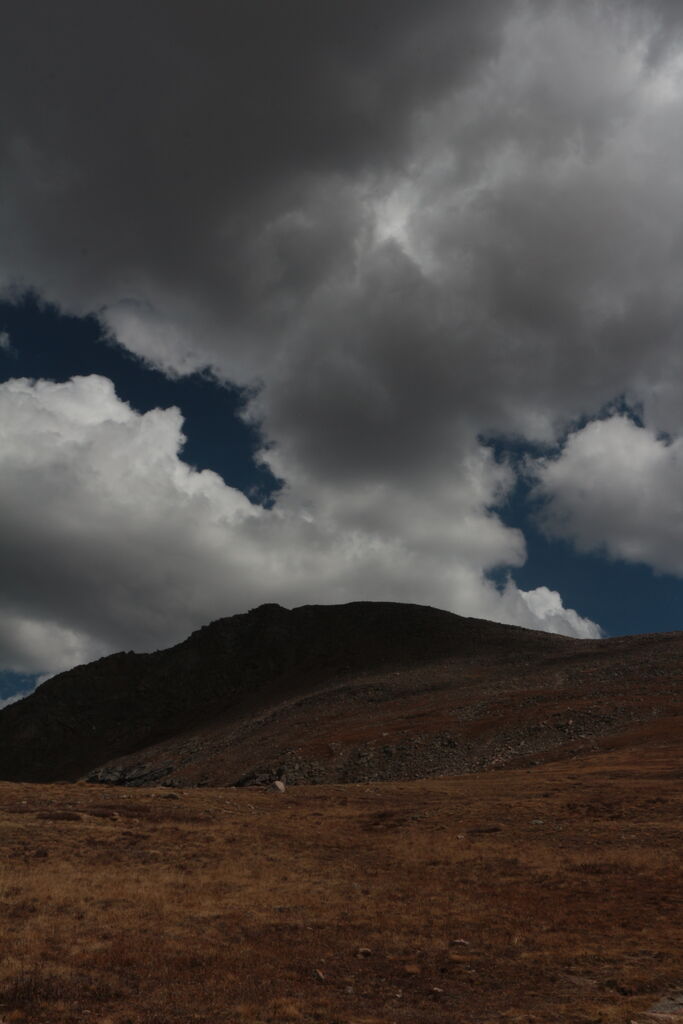 Photo 40 of 79