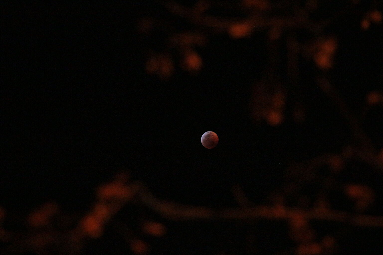 Photo 14 of 16