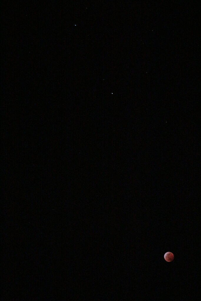 Photo 7 of 35