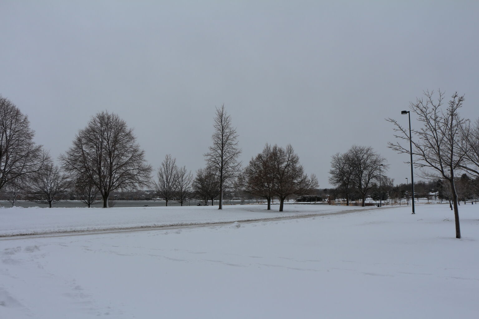 Photo 21 of 40