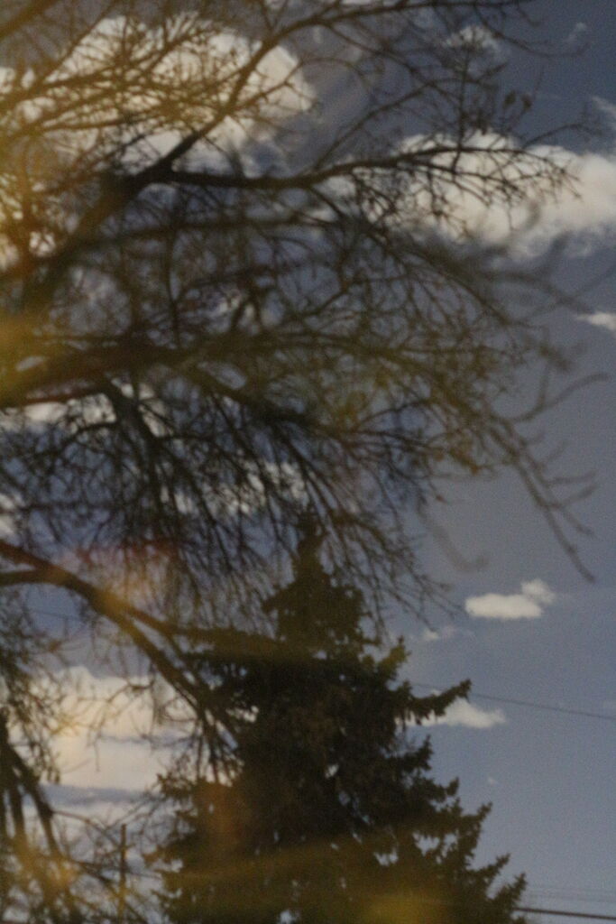 Photo 1 of 7