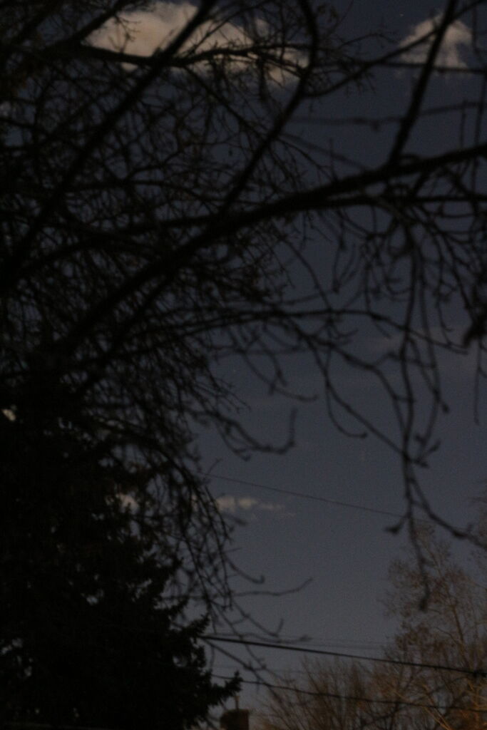 Photo 3 of 7