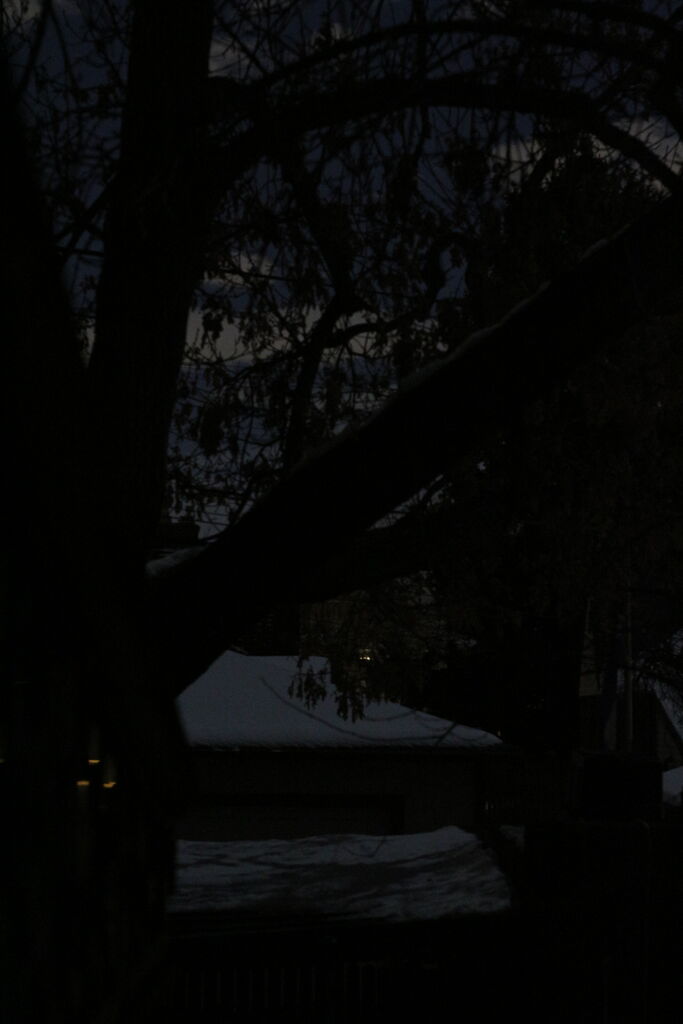 Photo 5 of 7