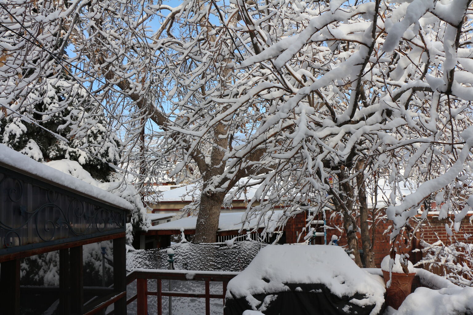 Photo 3 of 7
