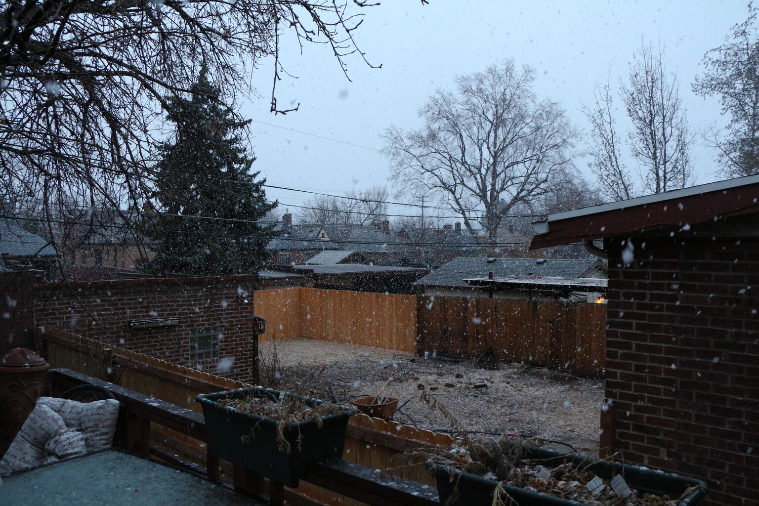 Photo 6 of 11