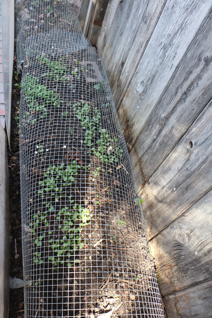 Photo 5 of 5