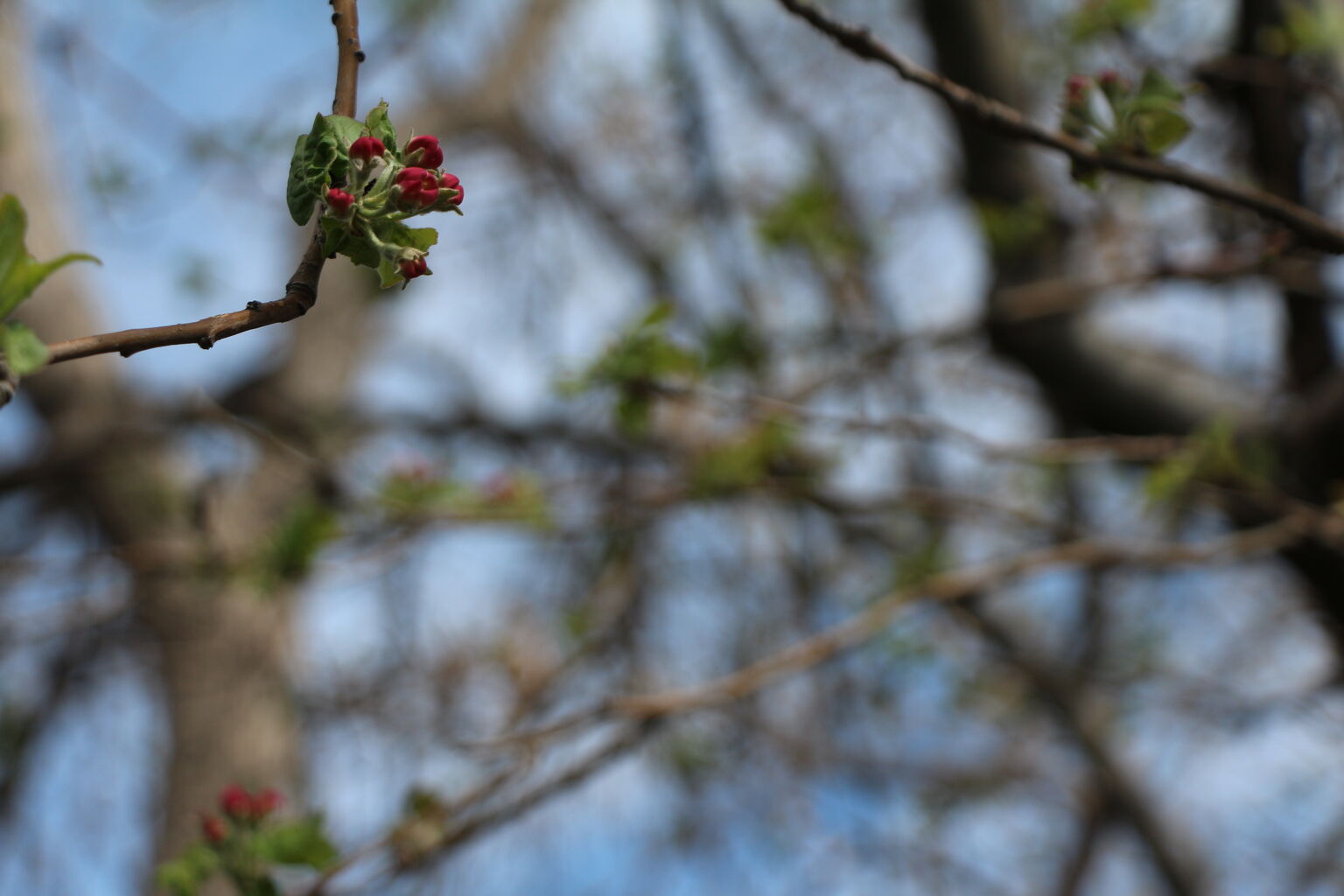 Photo 2 of 9