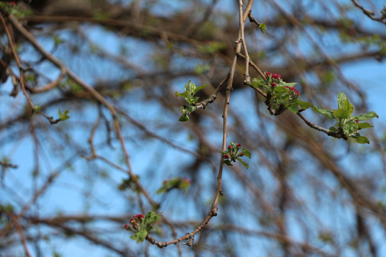Photo 3 of 9
