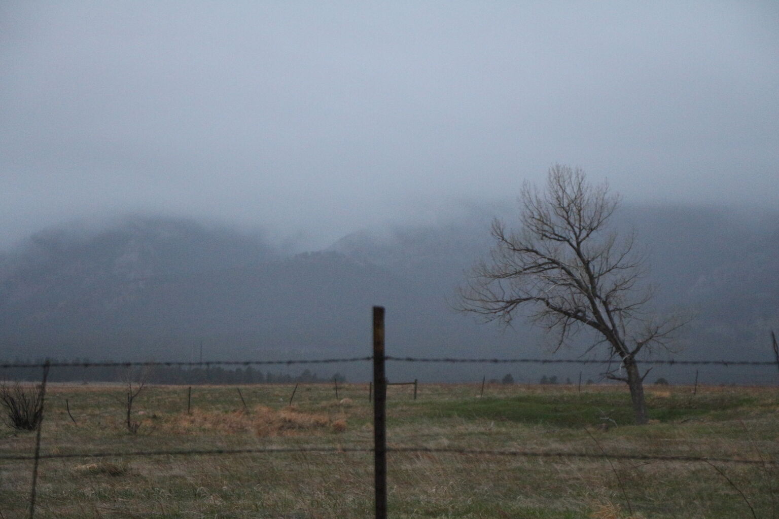 Photo 21 of 21