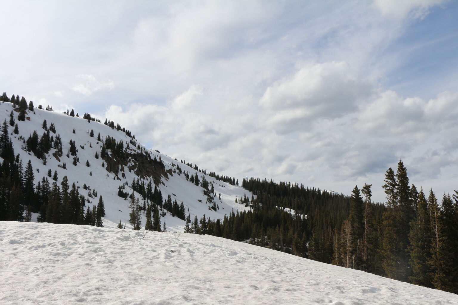 Photo 10 of 57