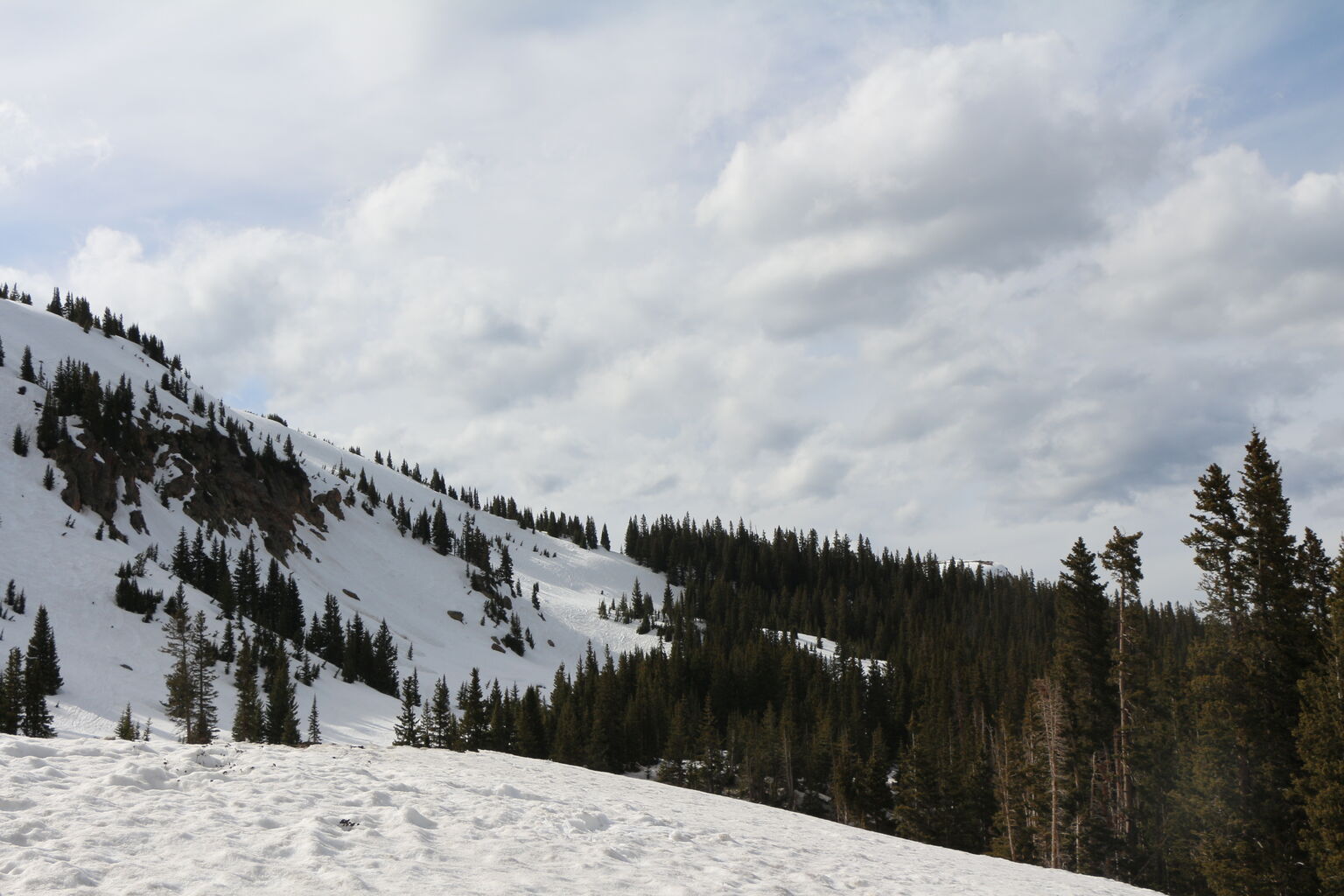 Photo 11 of 57