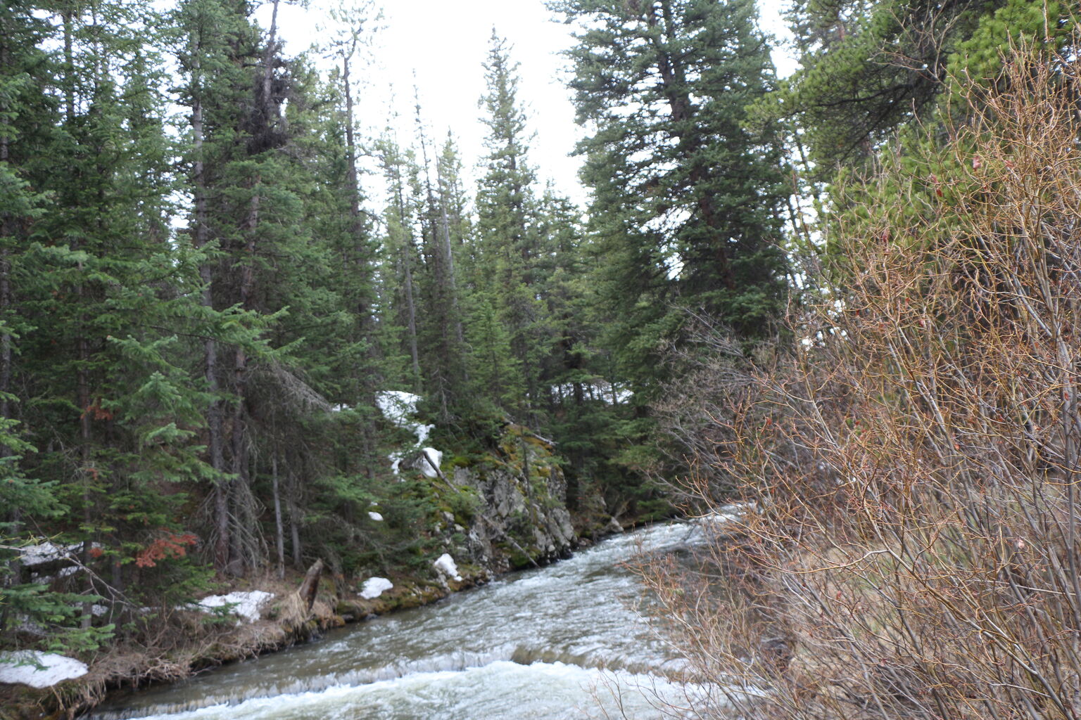 Photo 21 of 57